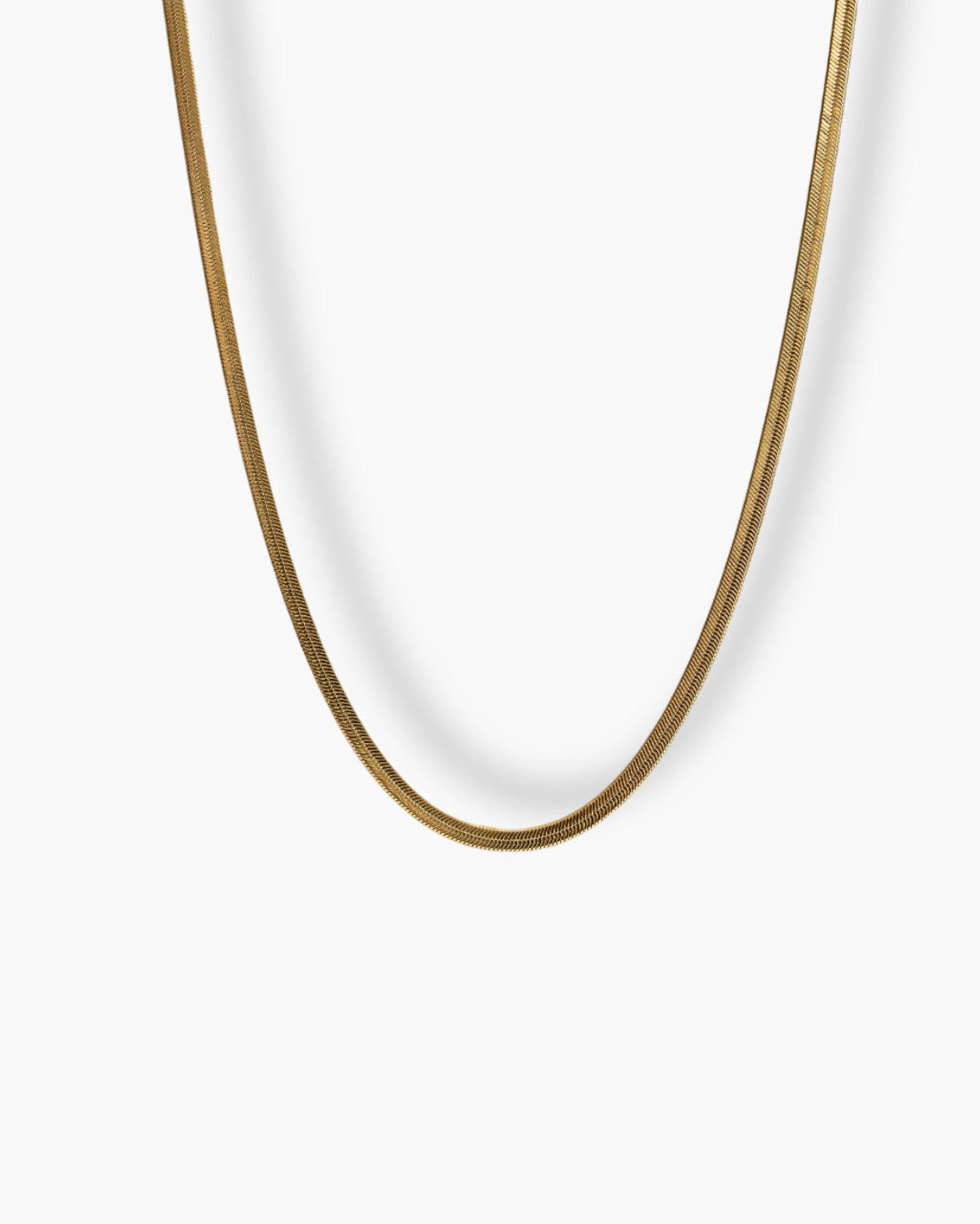 Collier Snake
