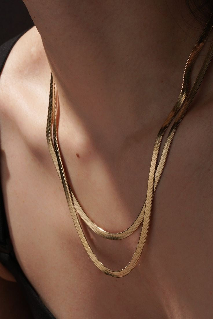 Collier Snake